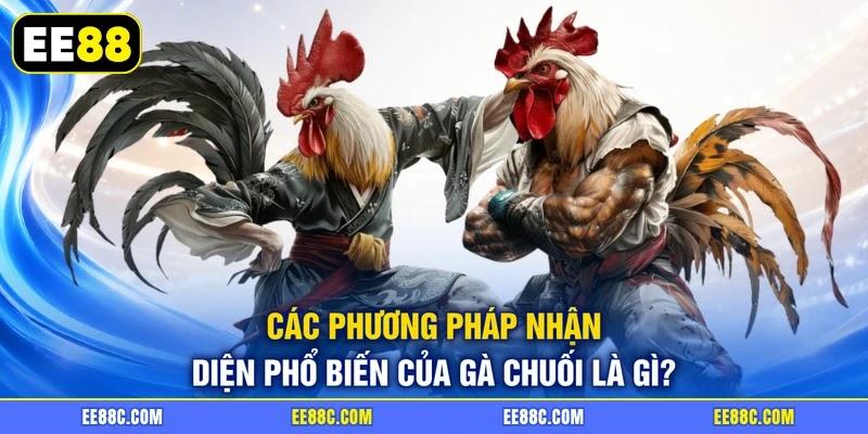 Các phương pháp nhận diện phổ biến của gà chuối là gì? Các phương pháp nhận diện phổ biến của gà chuối là gì?