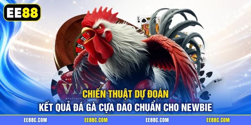 Chiến thuật dự đoán kết quả đá gà cựa dao chuẩn cho newbie Chiến thuật dự đoán kết quả đá gà cựa dao chuẩn cho newbie