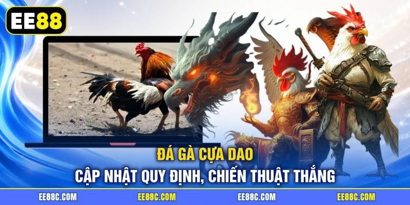 Đá Gà Cựa Dao - Cập Nhật Quy Định, Chiến Thuật Thắng