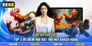Đá Gà Cựa Sắt - Top 3 Ưu Điểm Nổi Bật Thu Hút Khách Hàng