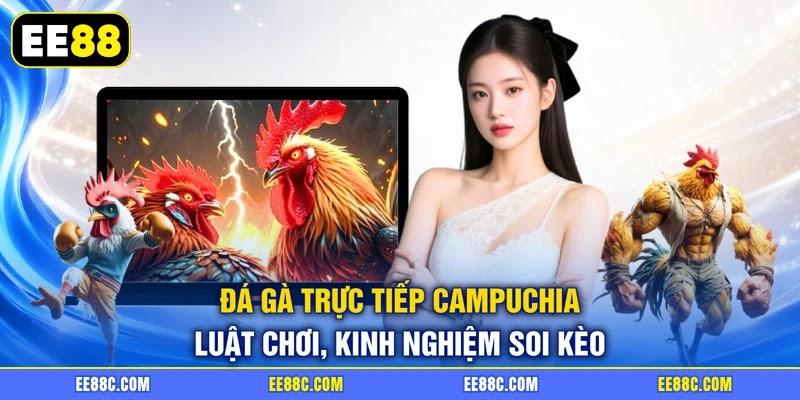 Đá Gà Trực Tiếp Campuchia - Luật Chơi, Kinh Nghiệm Soi Kèo