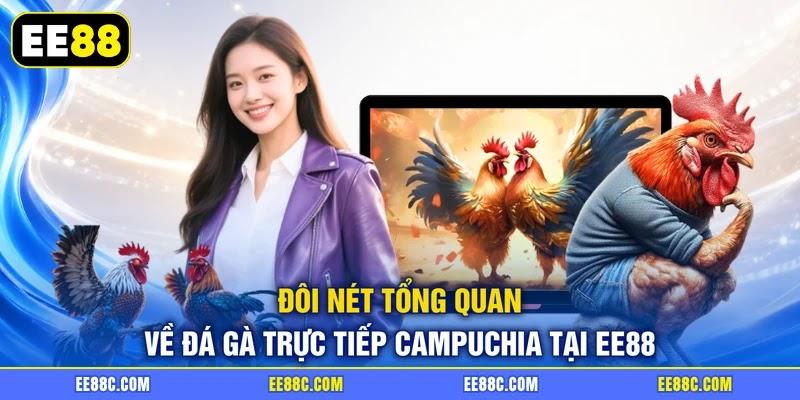 Đôi nét tổng quan về đá gà trực tiếp Campuchia tại EE88