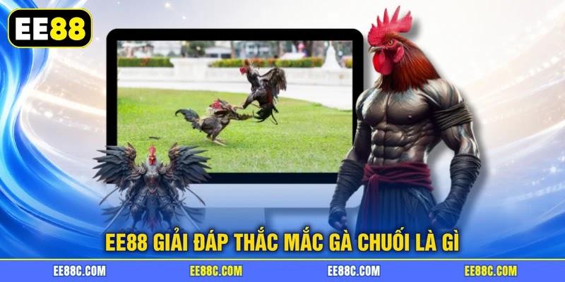 EE88 giải đáp thắc mắc gà chuối là gì EE88 giải đáp thắc mắc gà chuối là gì