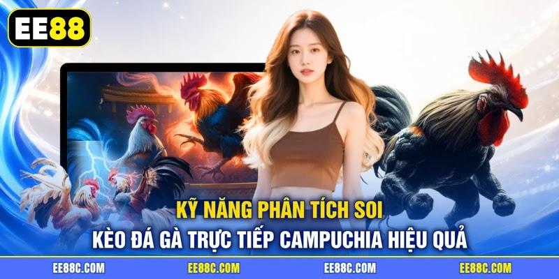 Kỹ năng phân tích soi kèo đá gà trực tiếp Campuchia hiệu quả
