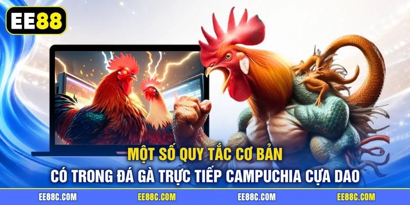 Một số quy tắc cơ bản có trong đá gà trực tiếp campuchia cựa dao