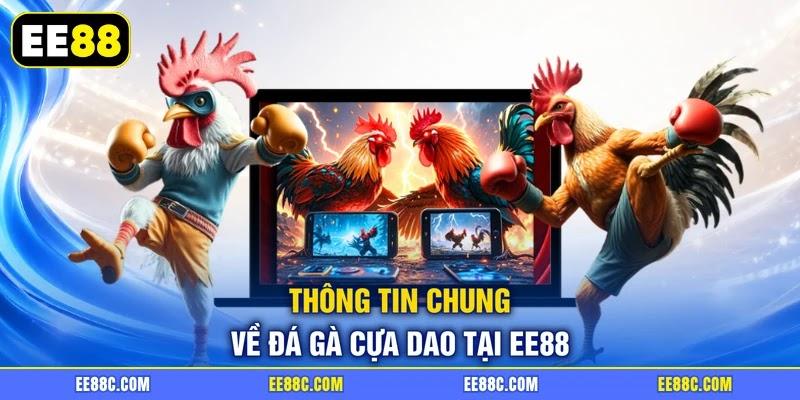 Thông tin chung về đá gà cựa dao tại EE88 Thông tin chung về đá gà cựa dao tại EE88