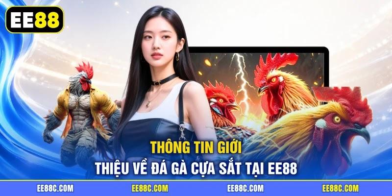 Thông tin giới thiệu về đá gà cựa sắt tại EE88 Thông tin giới thiệu về đá gà cựa sắt tại EE88